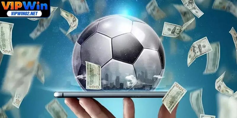 Khám phá thông tin đặc sắc về Playoff là gì