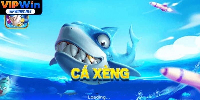 Những bí quyết quan trọng giúp thu thập xu hiệu quả