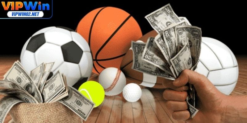 Playoff Là Gì - Tìm Hiểu Các Thông Tin Hấp Dẫn Chi Tiết