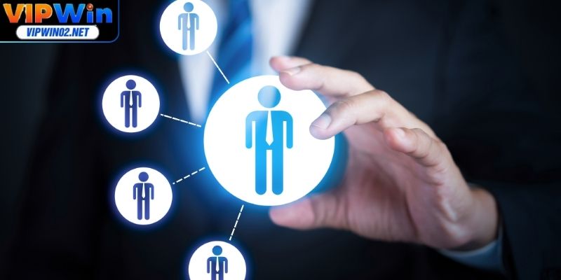 Thông tin về đội ngũ phát triển của thương hiệu Vipwin