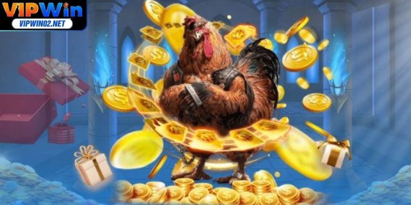 Tìm hiểu đặc điểm nổi bật từ đá gà trực tiếp