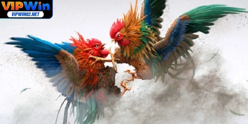 Tips giúp bạn đặt kèo hiệu quả và giành ưu thế trong trận