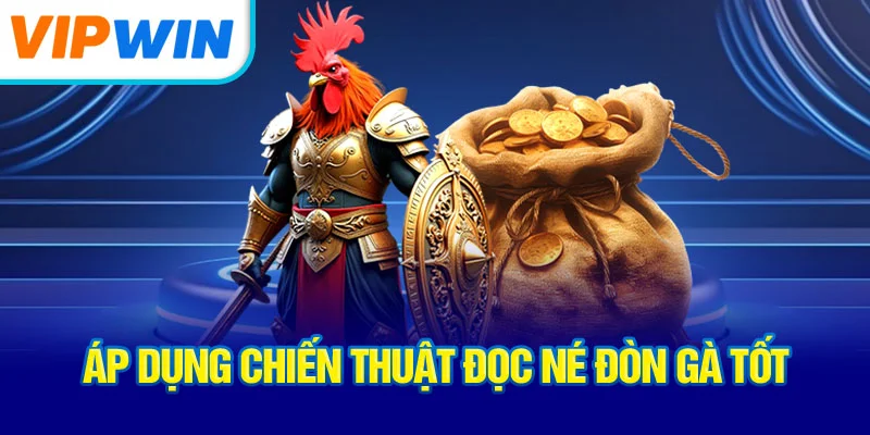 ap-dung-chien-thuat-doc-ne-don-ga-tot
