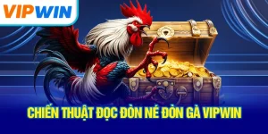 chien-thuat-doc-don-ne-don-ga-vipwin
