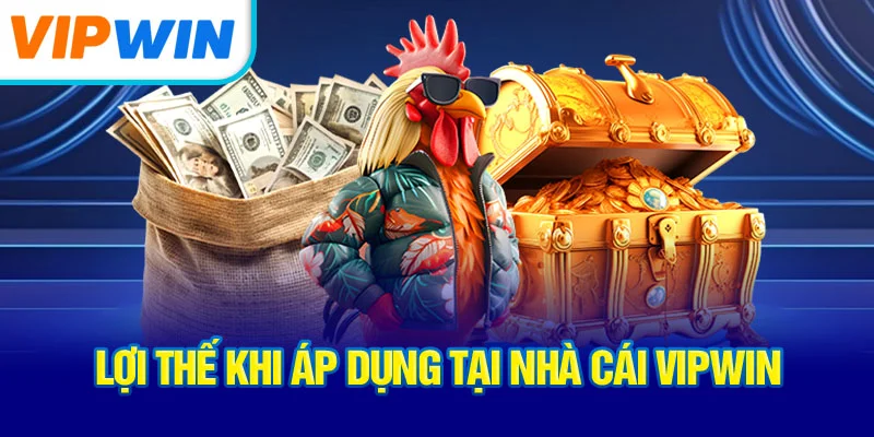 loi-the-khi-ap-dung-tai-nha-cai-vipwin