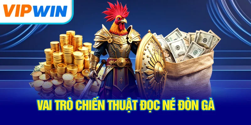 vai-tro-chien-thuat-doc-ne-don-ga